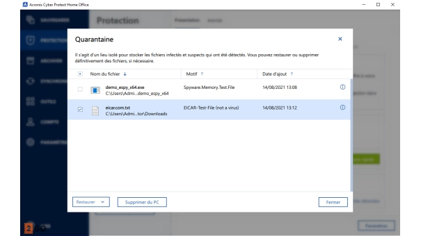 Acronis Cyber Protect Home Office Advanced 500 Go