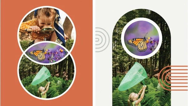 Adobe Photoshop Elements 2023 | Windows | Multilanguage