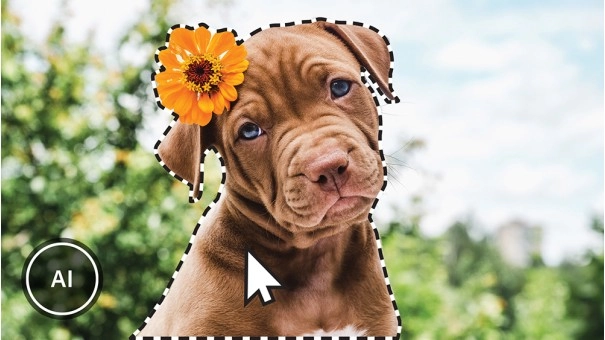 Adobe Photoshop Elements 2023 | Windows | Multilanguage