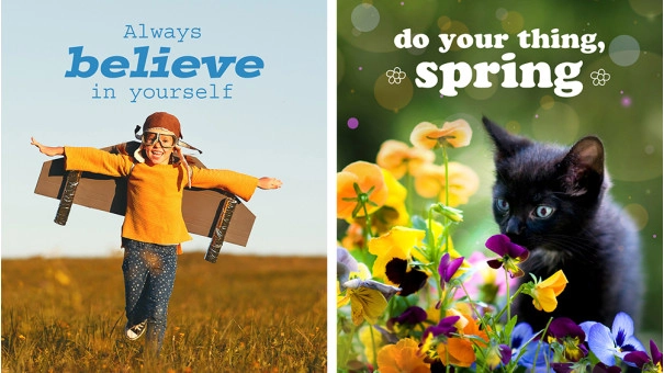 Adobe Photoshop Elements 2023 | Windows | Multilanguage