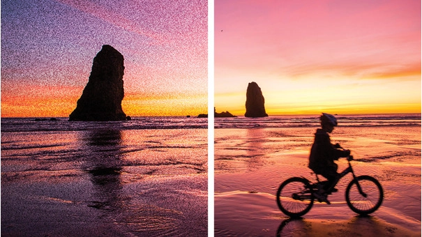 Adobe Photoshop + Premiere Elements 2023 Windows