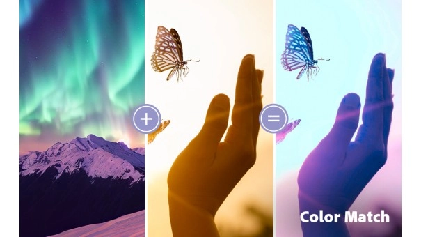 Adobe Photoshop Elements & Premiere Elements 2026