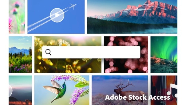 Adobe Premiere Elements 2026