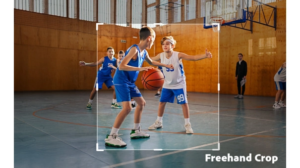 Adobe Premiere Elements 2026