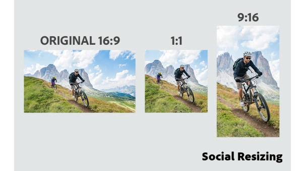 Adobe Premiere Elements 2026