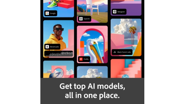 Adobe Firefly Standard | 1 Year | 2000 AI credits per month