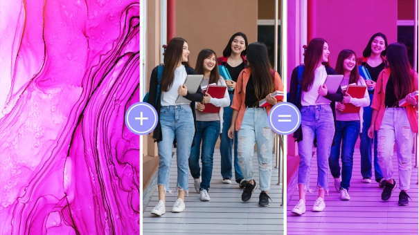 Adobe Photoshop Elements + Premiere Elements 2024 Mac