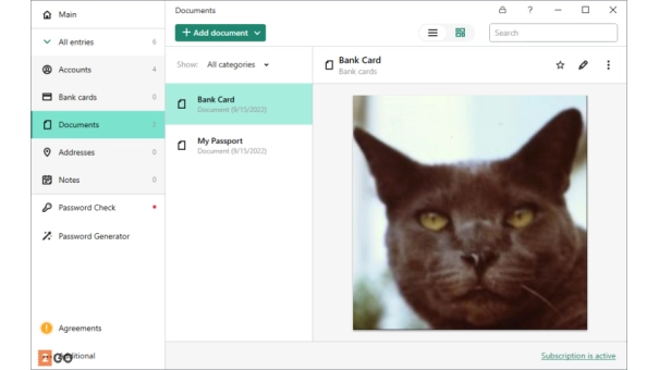 Kaspersky Premium 1 PC