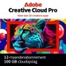 Adobe Creative Cloud Pro (alle apps) | Abonnement | 1 Jaar | 100 GB Cloud